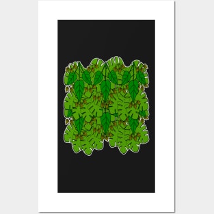 Swiss cheese Plant Monstera leaf Posters and Art